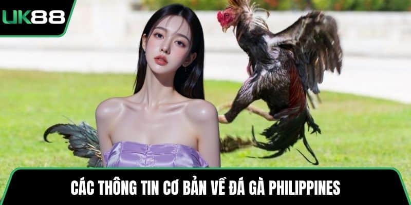 Các thông tin cơ bản về đá gà Philippines