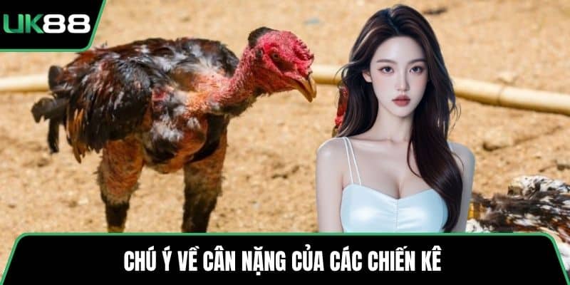 Chú ý về cân nặng của các chiến kê 