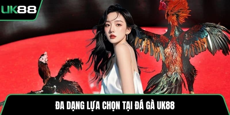 Đa dạng lựa chọn tại đá gà UK8 
