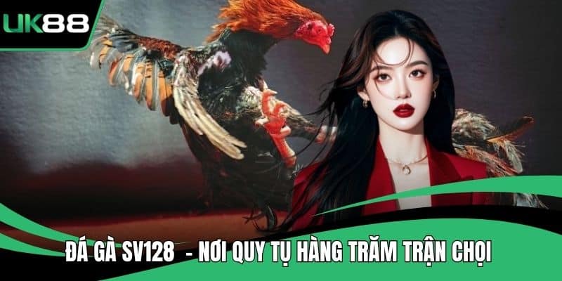 Đá Gà SV128 