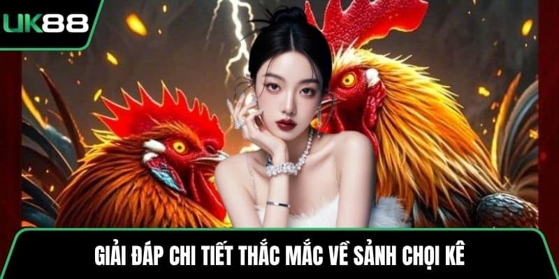Giải đáp chi tiết thắc mắc về sảnh chọi kê