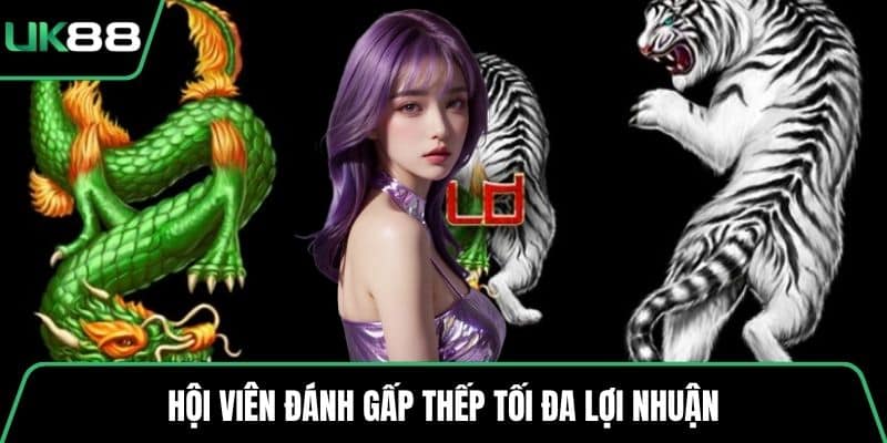 Hội viên đánh gấp thếp tối đa lợi nhuận