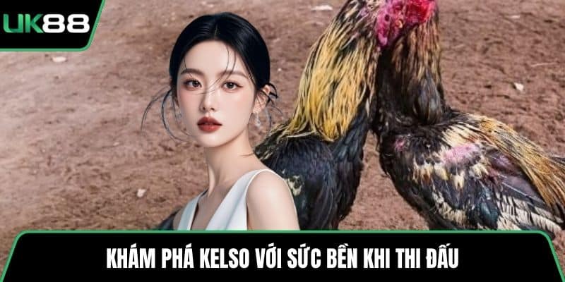 Khám phá Kelso với sức bền khi thi đấu