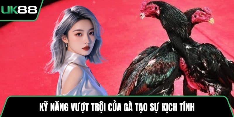 Kỹ năng vượt trội của gà tạo sự kịch tính