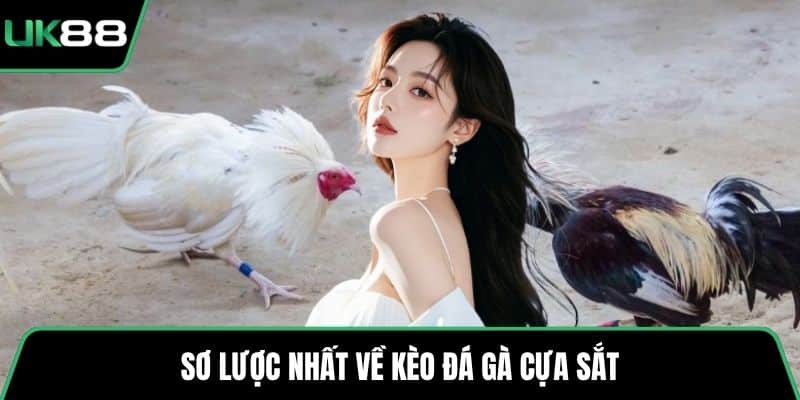 Sơ lược nhất về kèo đá gà cựa sắt
