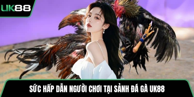 Sức hấp dẫn người chơi tại sảnh đá gà UK88
